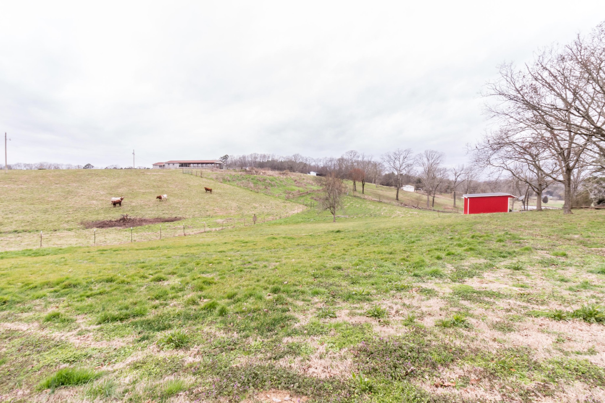 14095 Pierce Road Birchwood, TN 37308 - Photo 27 of 27 Gallery Image 27