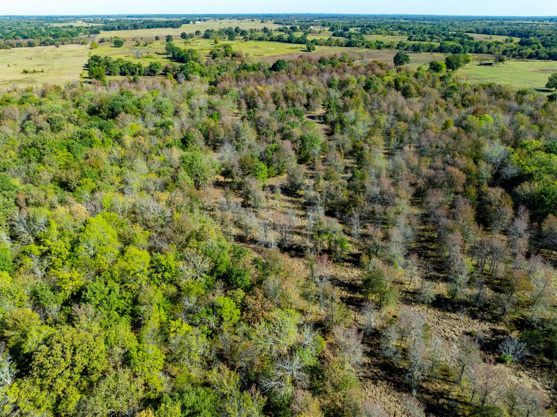 1599 North 4010 Road Boswell, OK 74727 - Photo 5 of 57 Expansive acreage featuring mature trees and open fields under a clear sky