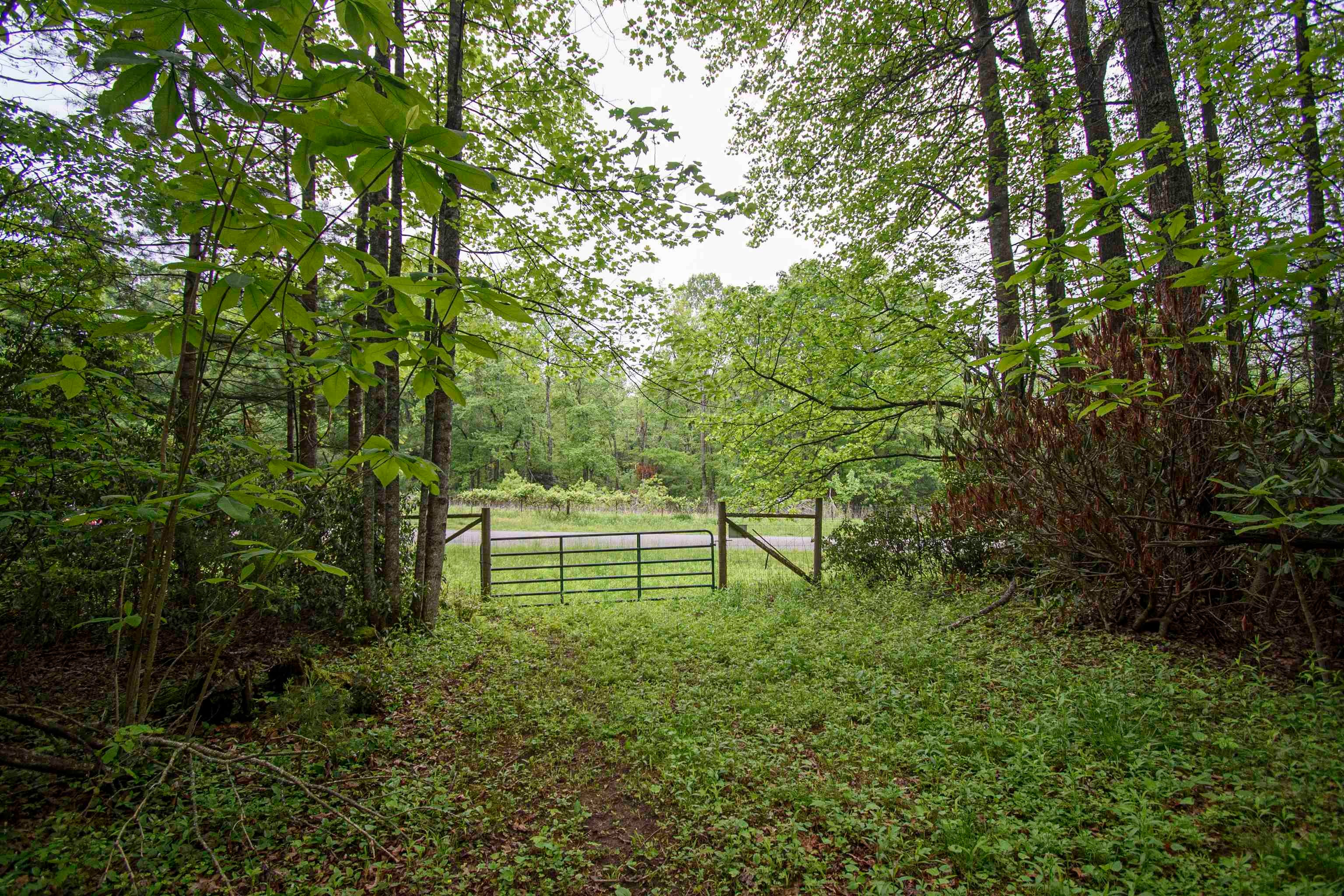 Tbd Keno Road Hillsville, VA 24343 - Photo 5 of 12 Gallery Image 5
