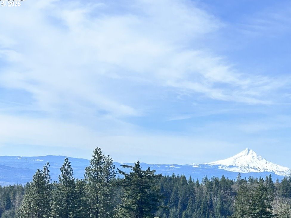 0 Knoll Ridge Road Lyle, WA 98635 - Photo 2 of 5 a view of a city and mountains in the background