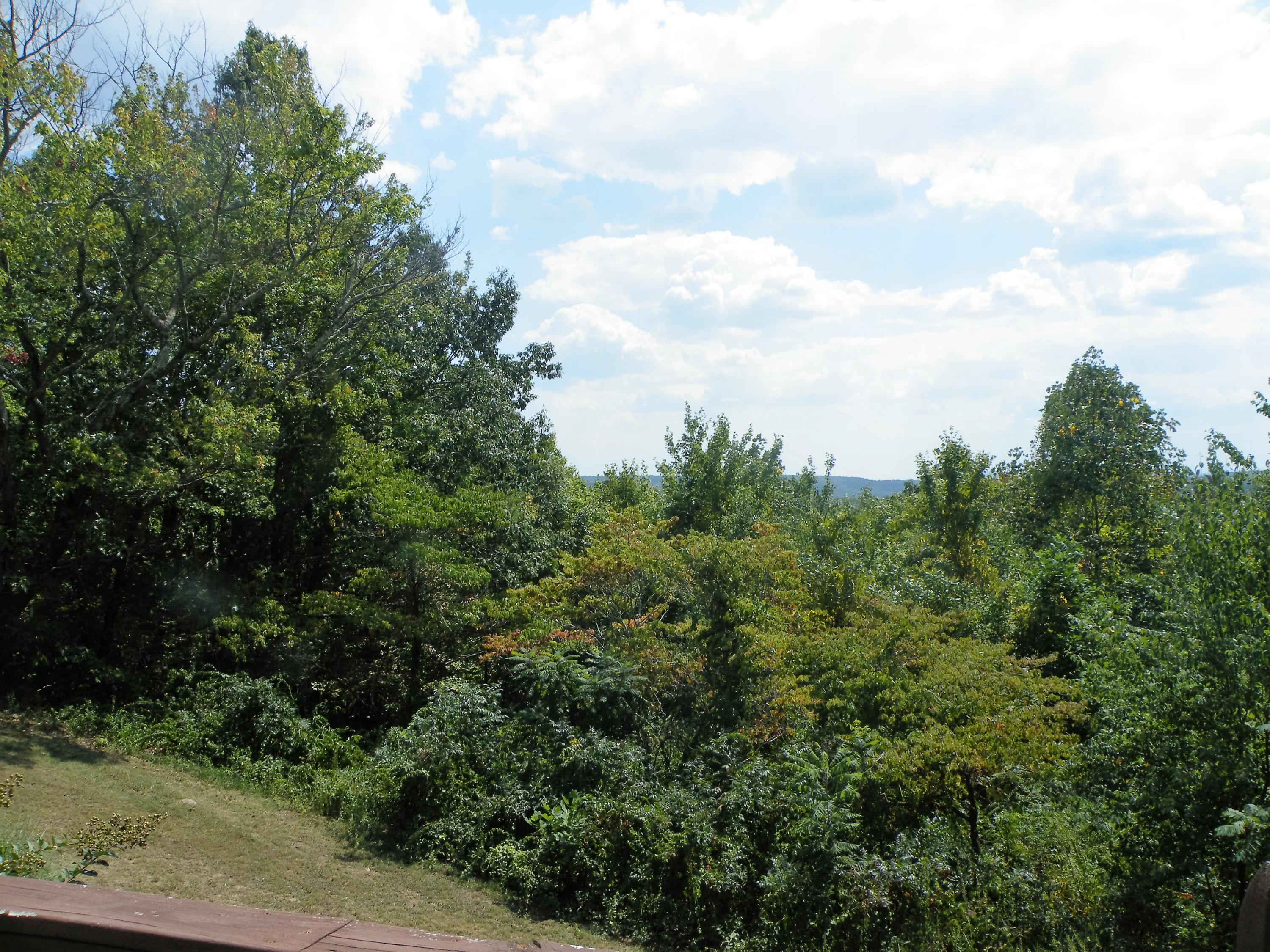 2820 Kell Road Signal Mountain, TN 37377 - Photo 13 of 41 DSCF5440