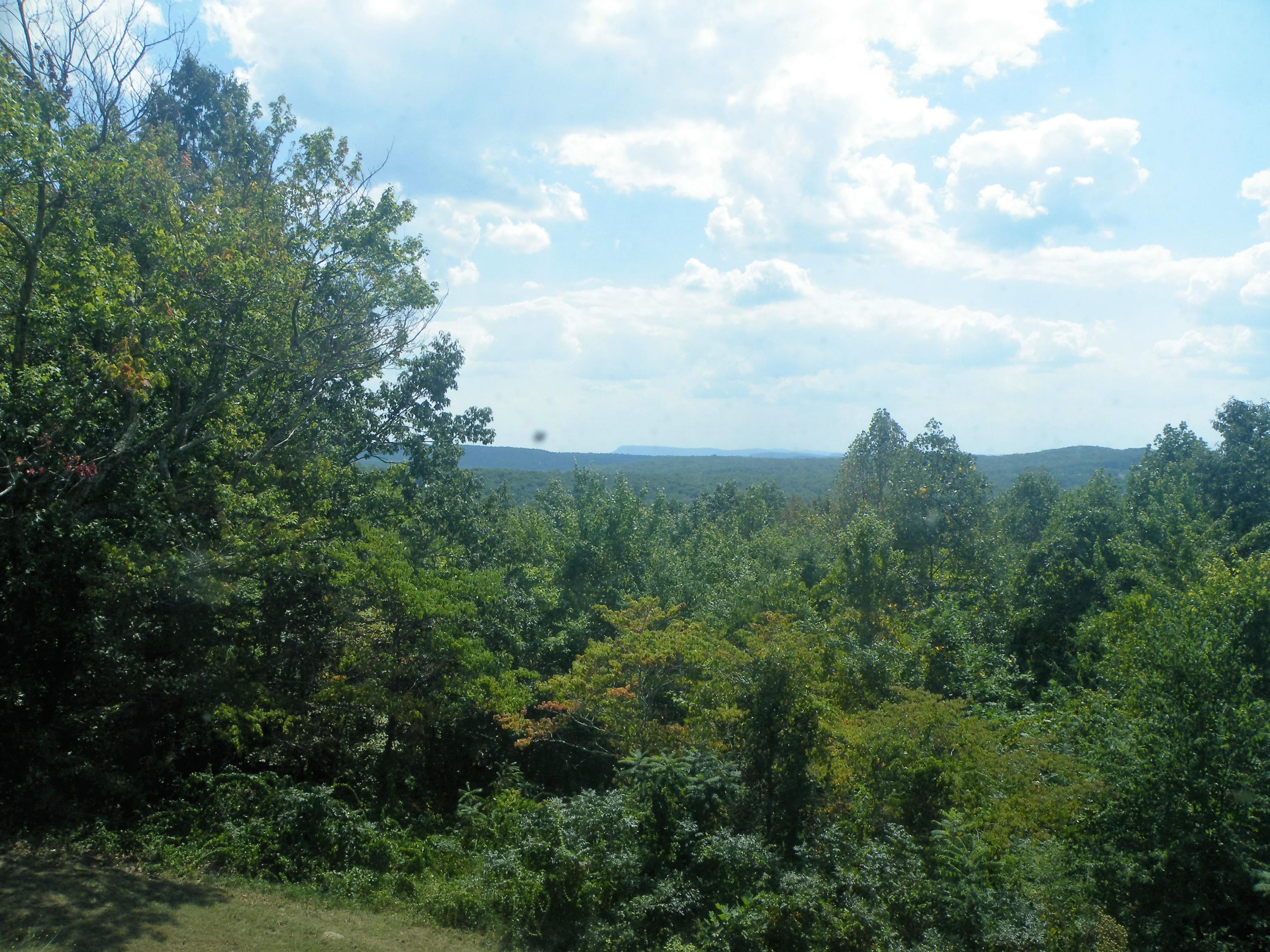 2820 Kell Road Signal Mountain, TN 37377 - Photo 14 of 41 DSCF5438