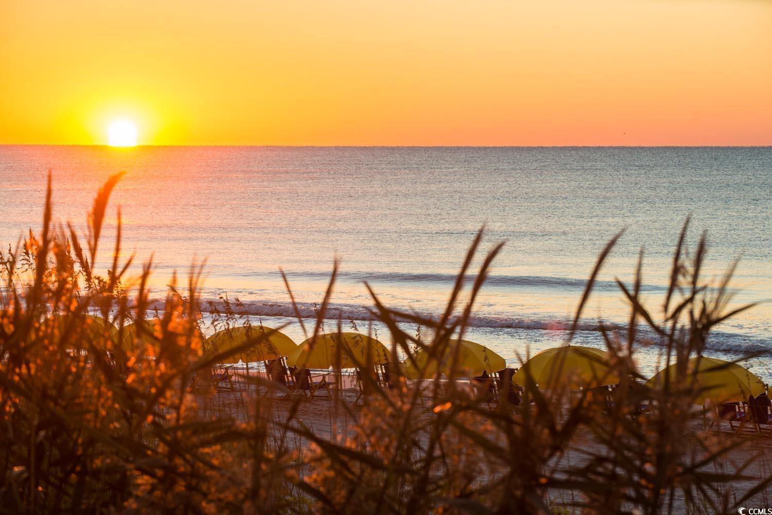406 63rd Avenue North Myrtle Beach, SC 29572 - Photo 14 of 17 Water view with nearby beach