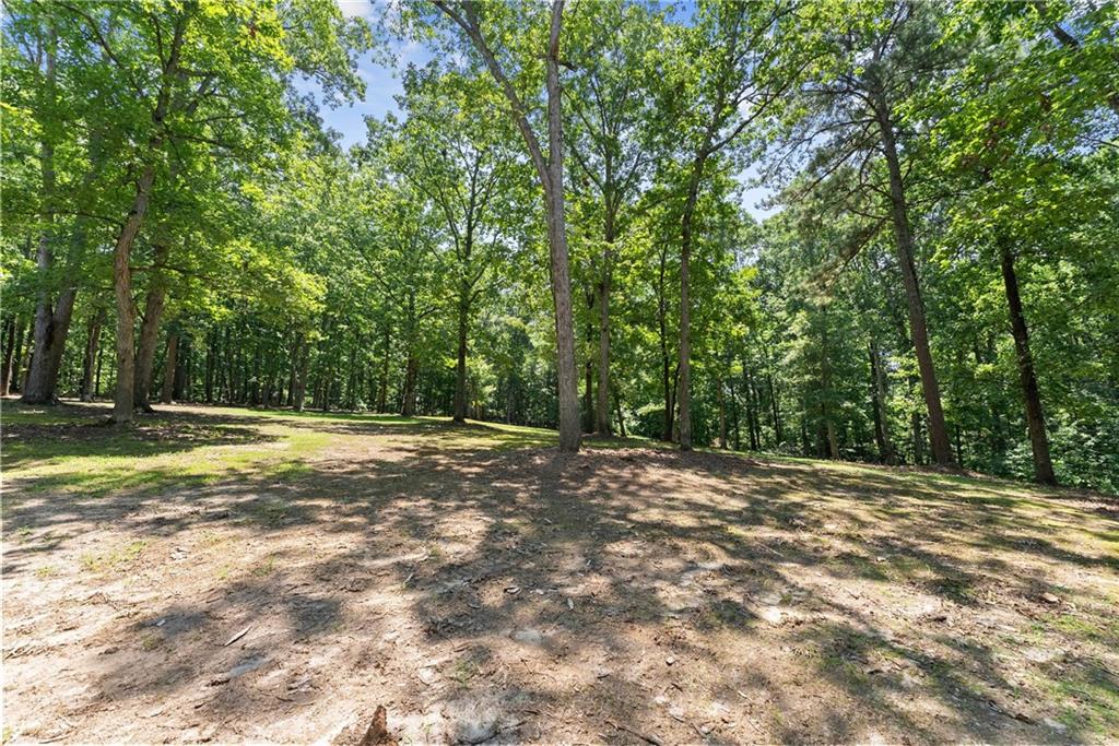 5755 Hopewell Road Cumming, GA 30028 - Photo 77 of 92