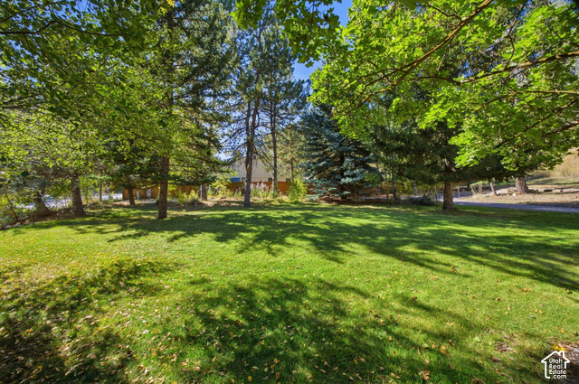 725 Canyon Road Smithfield, UT 84335 - Photo 86 of 100 Expansive green lawn surrounded by mature trees