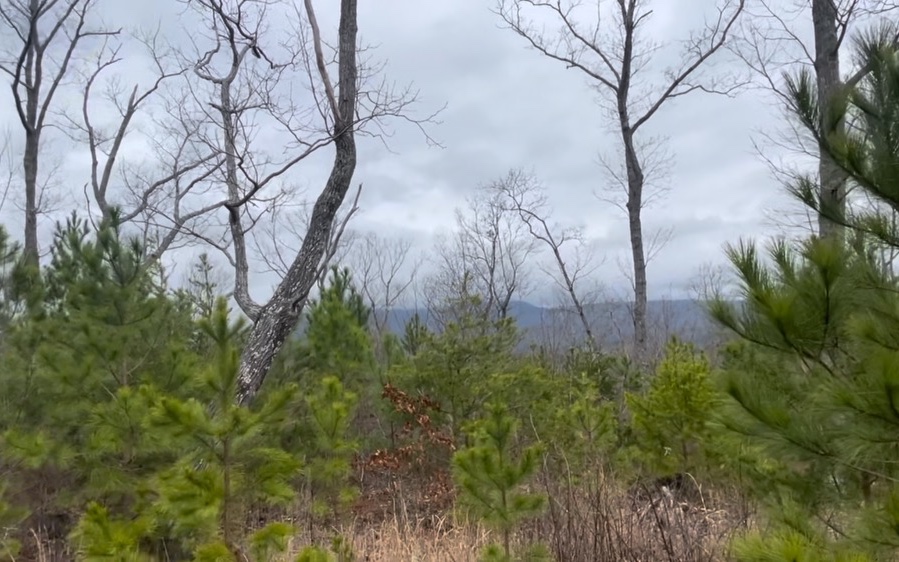 709 High Knoll Road Jasper, GA 30143 - Photo 12 of 46 Additional View