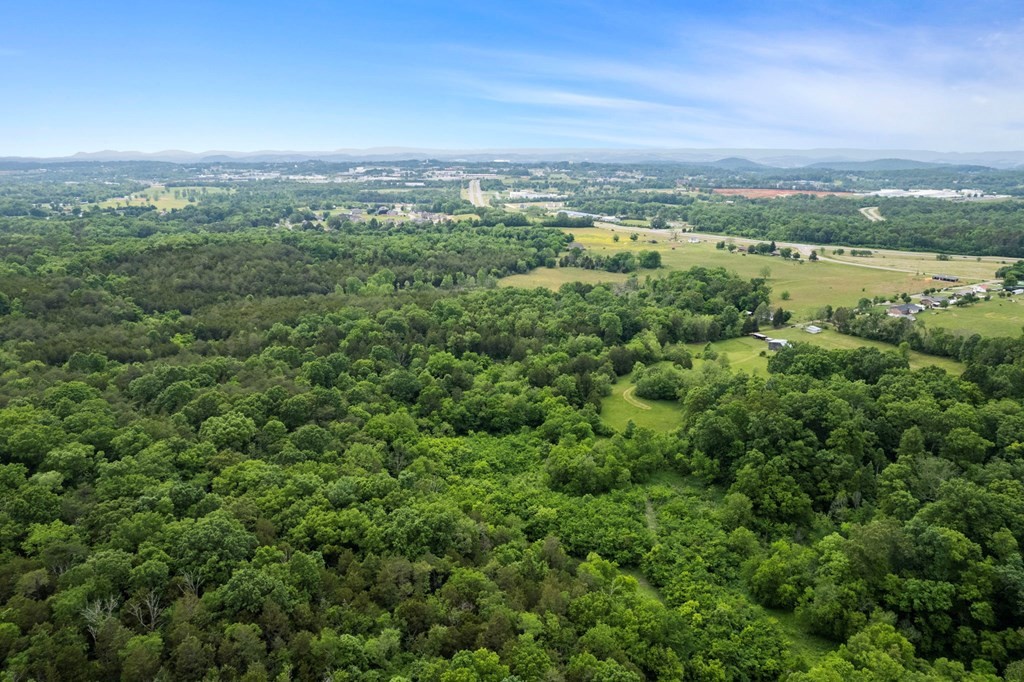1350 Brogan Road Morristown, TN 37813 - Photo 8 of 21 Gallery Image 8