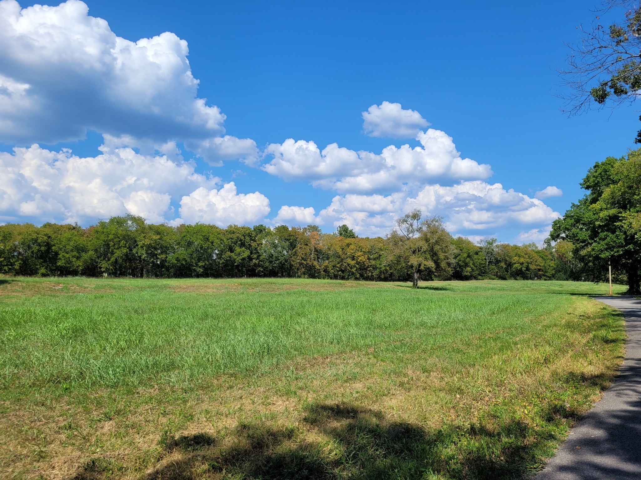 1289 Old Hopewell Road Bethpage, TN 37022 - Photo 3 of 42 Gallery Image 3