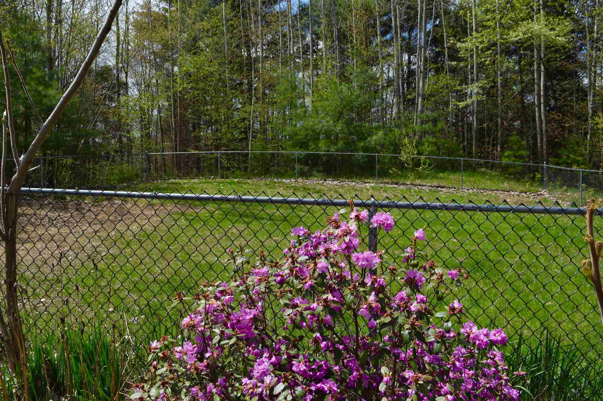 48 Colonial Road, Unit 104 Fairfax, VT 05454 - Photo 22 of 23
