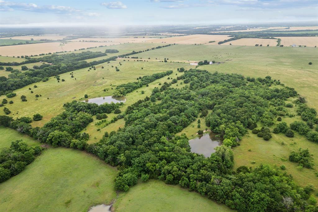 Tbd Tbd Fm-697 Whitewright, TX 75491 - Photo 10 of 19 a view of a lake with a houses