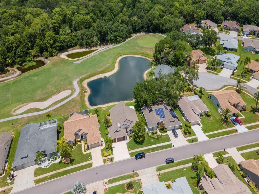 9703 Springmeadow Drive New Port Richey, FL 34655 - Photo 52 of 78 Gallery Image 52