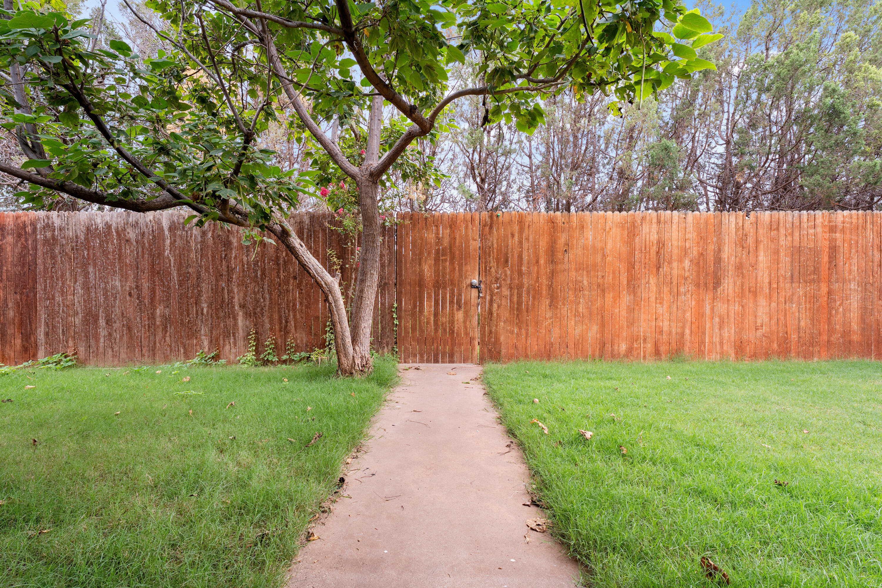 4403 78th Street Lubbock, TX 79424 - Photo 27 of 29 a view of a yard with wooden fence