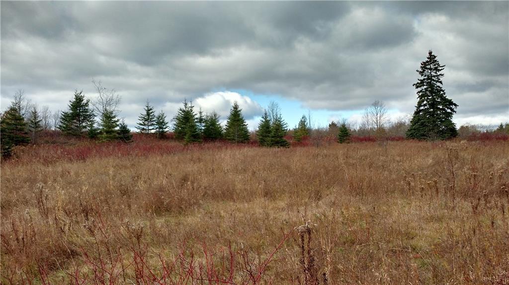 Lot 31 Green Road Houlton, ME 04730 - Photo 6 of 9 Photo
