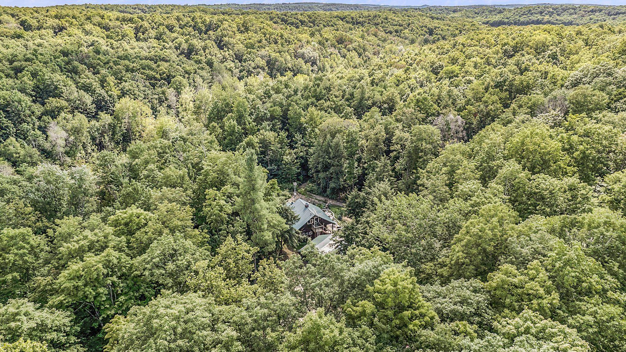 2874 Rail Road Mancelona, MI 49659 - Photo 40 of 40