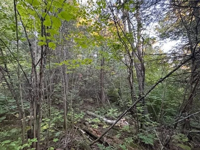 $175,000 | 39-xx 39-xx Arrowhead Trail, Hovland, MN 55606