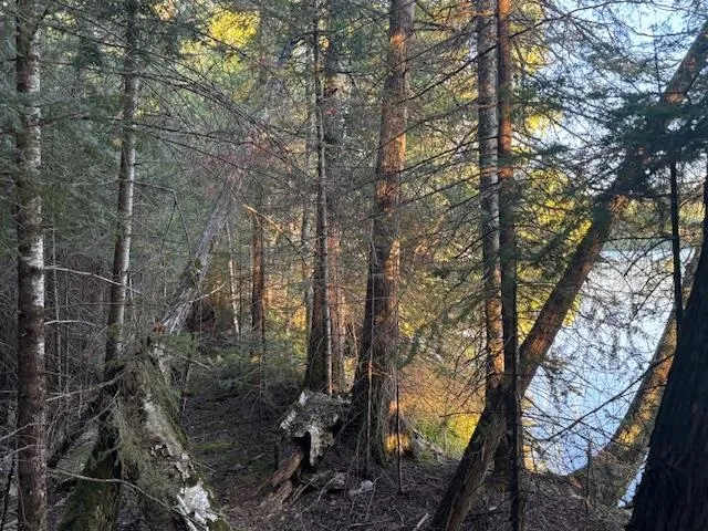 $175,000 | 39-xx 39-xx Arrowhead Trail, Hovland, MN 55606