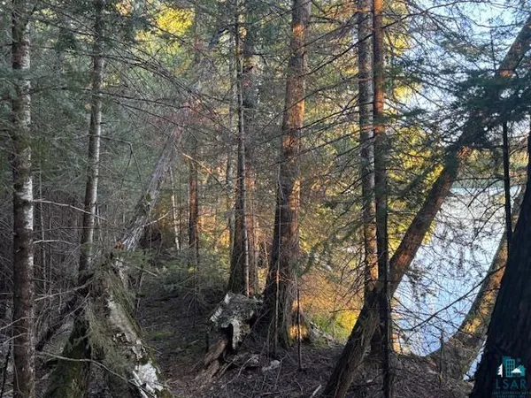 $205,000 | 39-xx 39-xx Arrowhead Trail, Hovland, MN 55606