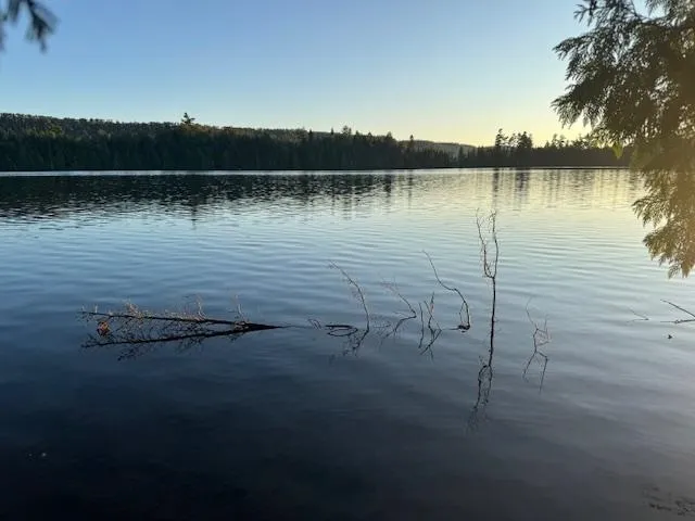 $175,000 | 39-xx 39-xx Arrowhead Trail, Hovland, MN 55606