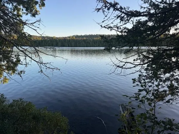 $205,000 | 39-xx 39-xx Arrowhead Trail, Hovland, MN 55606