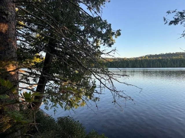 $175,000 | 39-xx 39-xx Arrowhead Trail, Hovland, MN 55606