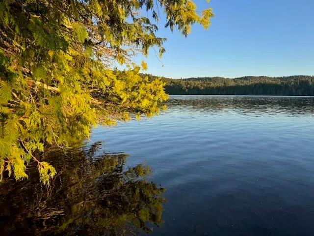 $175,000 | 39-xx 39-xx Arrowhead Trail, Hovland, MN 55606