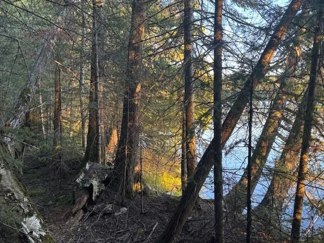 $175,000 | 39-xx 39-xx Arrowhead Trail, Hovland, MN 55606