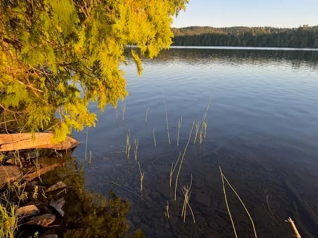 $175,000 | 39-xx 39-xx Arrowhead Trail, Hovland, MN 55606