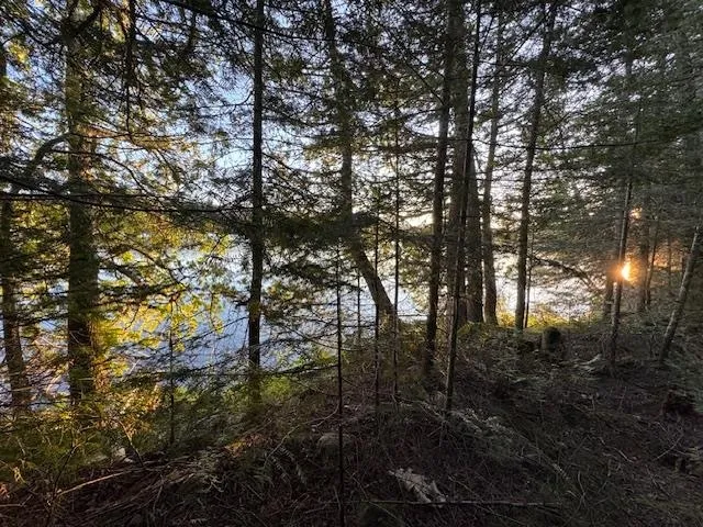 $175,000 | 39-xx 39-xx Arrowhead Trail, Hovland, MN 55606