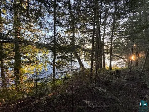 $205,000 | 39-xx 39-xx Arrowhead Trail, Hovland, MN 55606