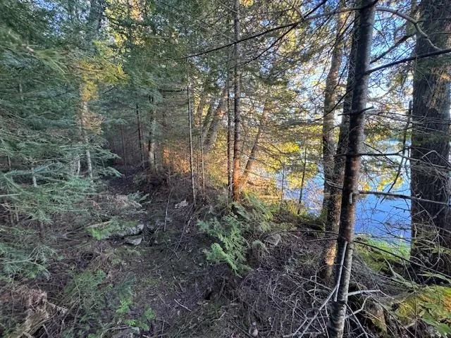 $175,000 | 39-xx 39-xx Arrowhead Trail, Hovland, MN 55606