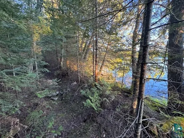 $205,000 | 39-xx 39-xx Arrowhead Trail, Hovland, MN 55606