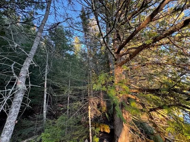 $175,000 | 39-xx 39-xx Arrowhead Trail, Hovland, MN 55606