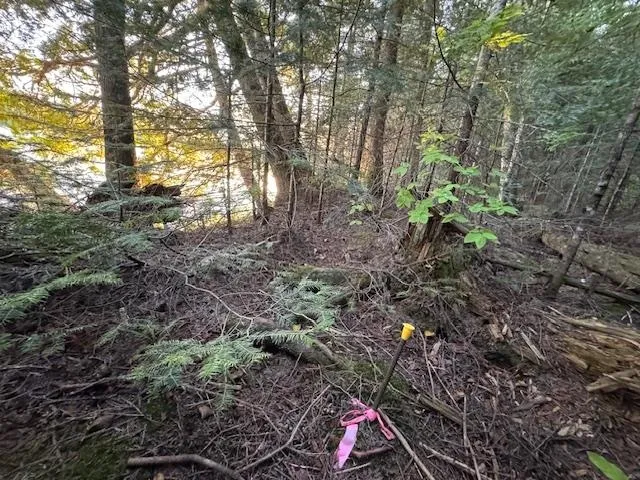 $175,000 | 39-xx 39-xx Arrowhead Trail, Hovland, MN 55606