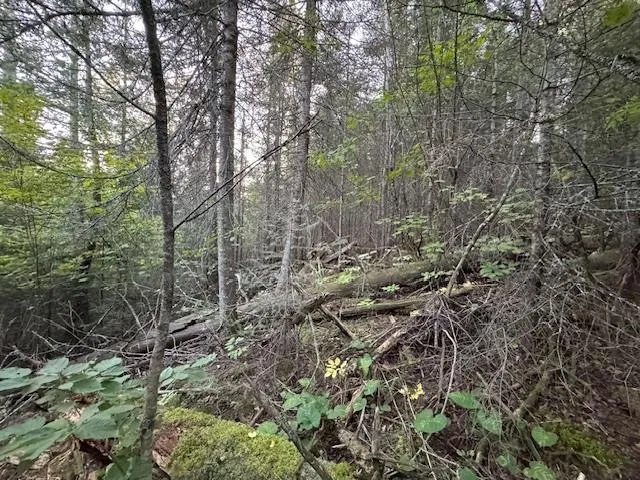 $175,000 | 39-xx 39-xx Arrowhead Trail, Hovland, MN 55606