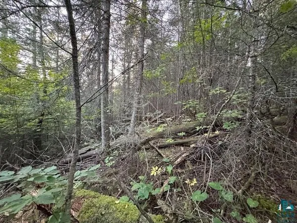 $205,000 | 39-xx 39-xx Arrowhead Trail, Hovland, MN 55606