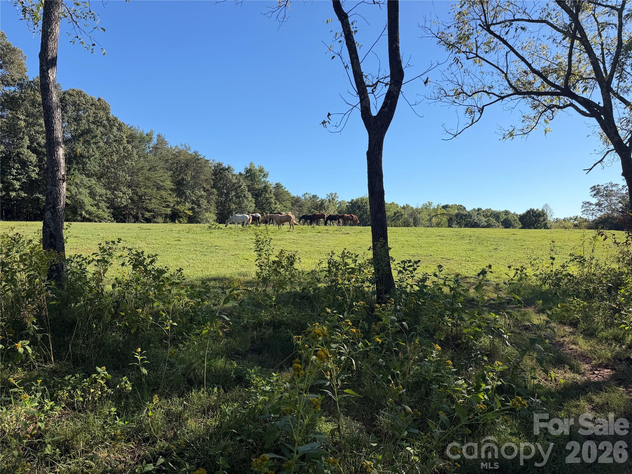 1352 Williamson Road Shelby, NC 28150 - Photo 16 of 28 Gallery Image 16