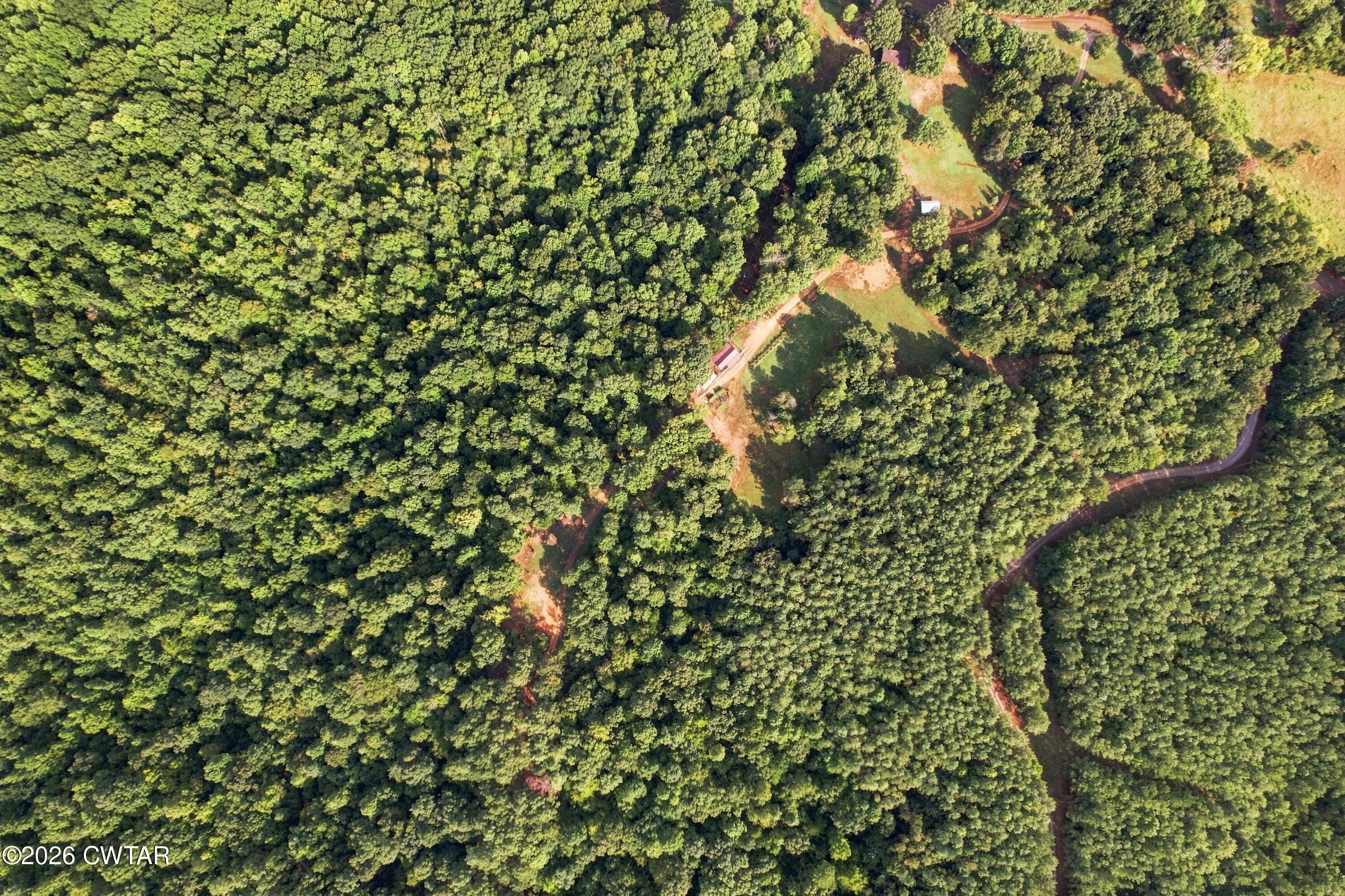 0 Pulliam Road Medon, TN 38356 - Photo 8 of 9 DJI_0795