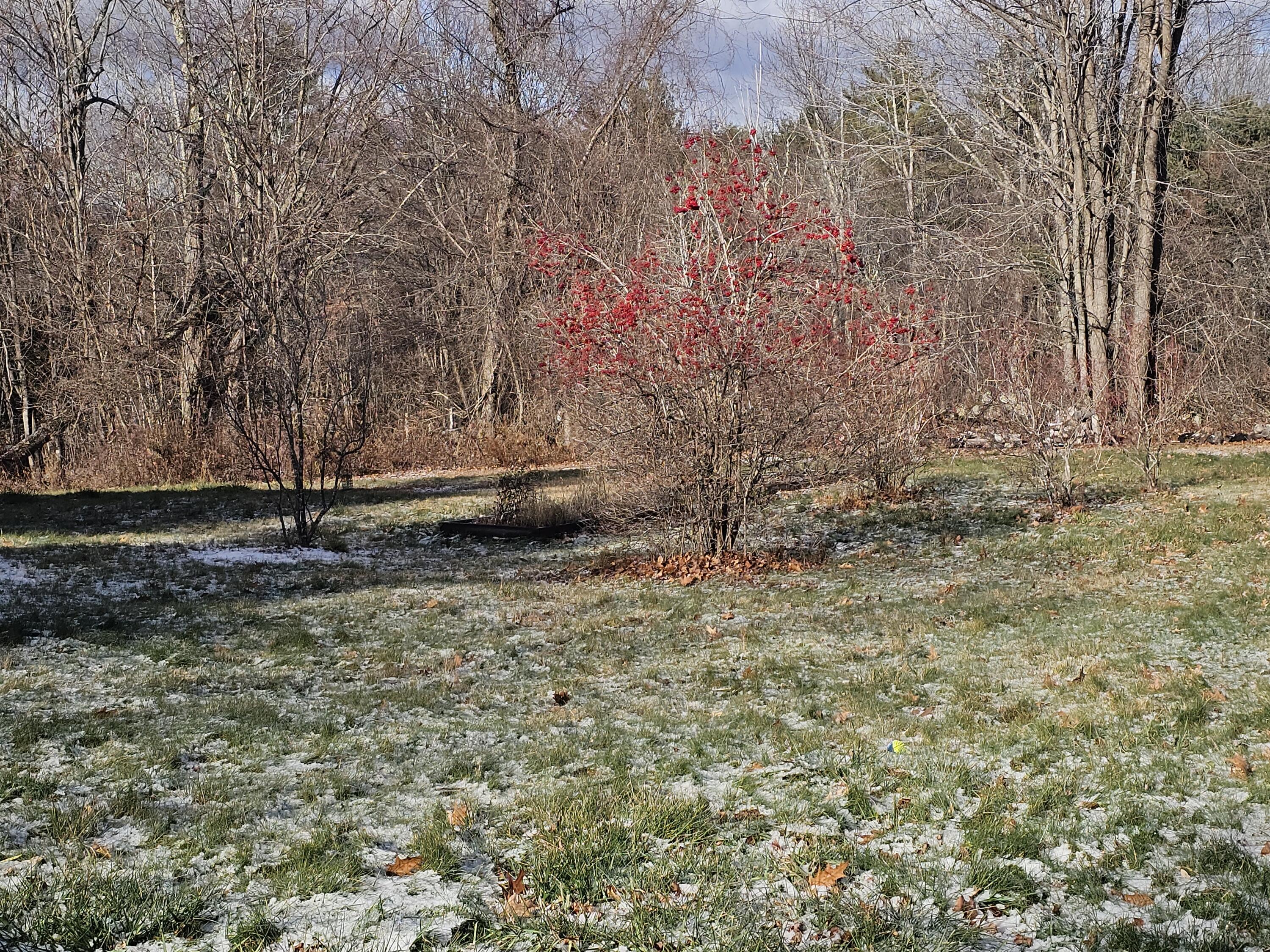 532 Paris Hill Road South Paris, ME 04281 - Photo 46 of 51 20251201_104347