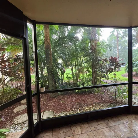 a view of a yard with plants