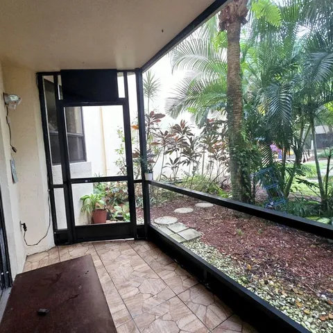 a view of a plant with a tree