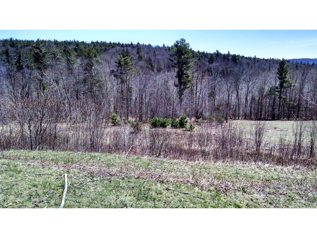 39 Sikes Road South Newfane, VT 05351 - Photo 13 of 27