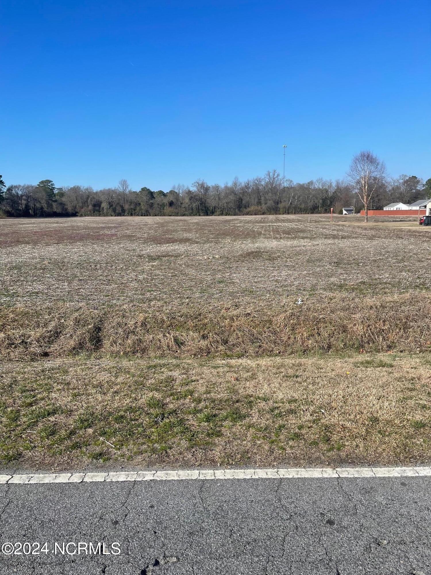 0 Duplin County Road Pink Hill, NC 28572 - Photo 7 of 14 256 Duplin County Road