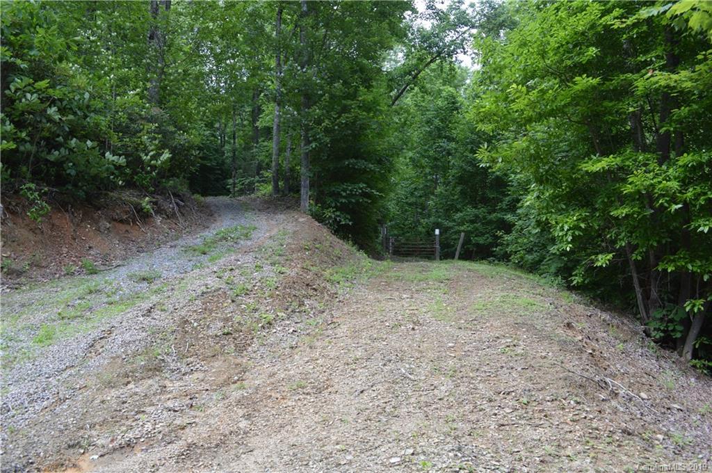 648 Sutton Road Waynesville, NC 28785 - Photo 20 of 24 a view of a forest with trees in the background