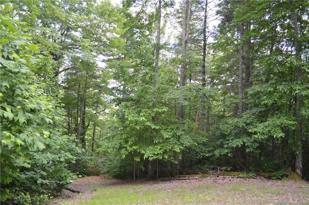 648 Sutton Road Waynesville, NC 28785 - Photo 21 of 24 a view of a yard with plants and large trees
