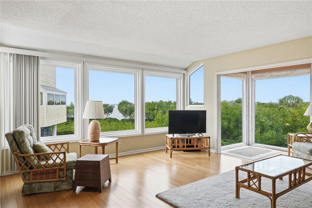 1500 Sunset Road, Unit C10 Tarpon Springs, FL 34689 - Photo 4 of 27 a living room with furniture a flat screen tv and a large window