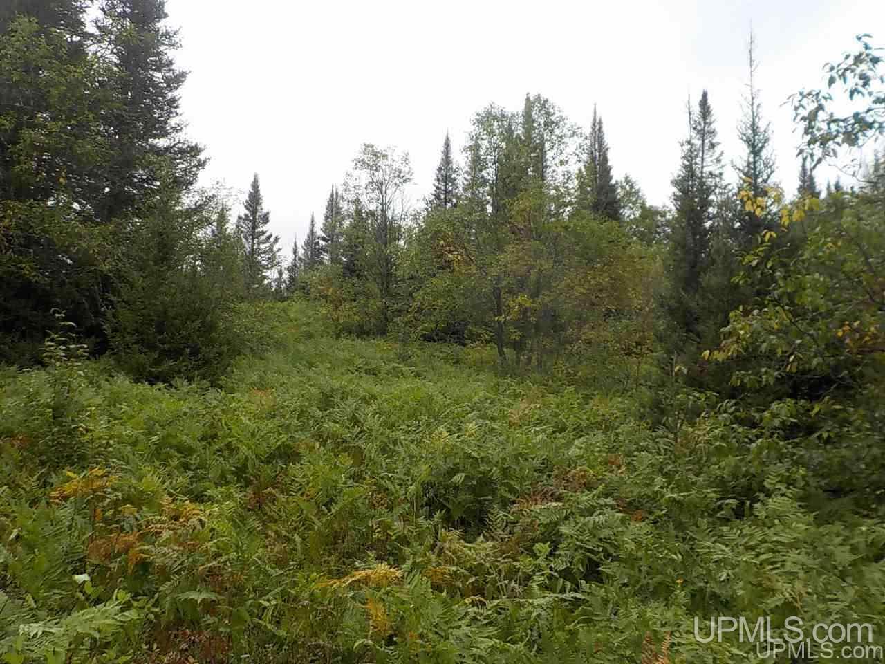 196.2-ac East Cable Lake Road Crystal Falls, MI 49920 - Photo 4 of 17