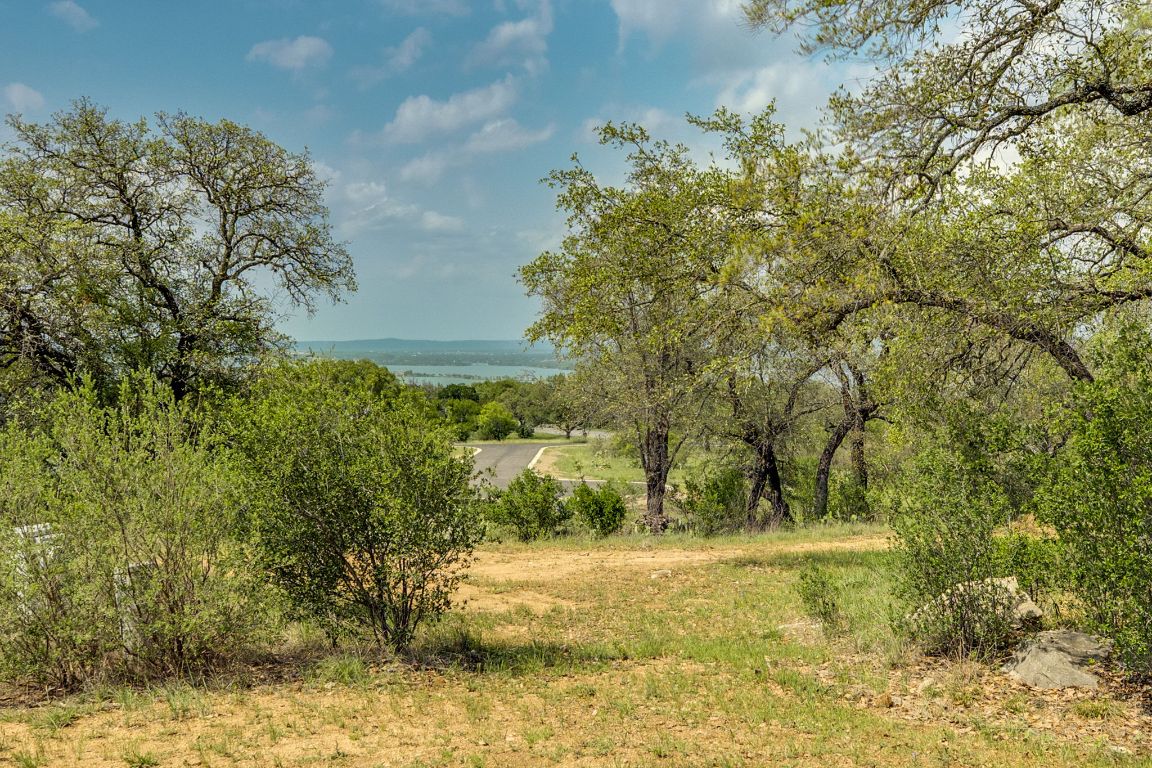 600 Mountain Dew Road Horseshoe Bay, TX 78657 - Photo 34 of 38 a view of a yard