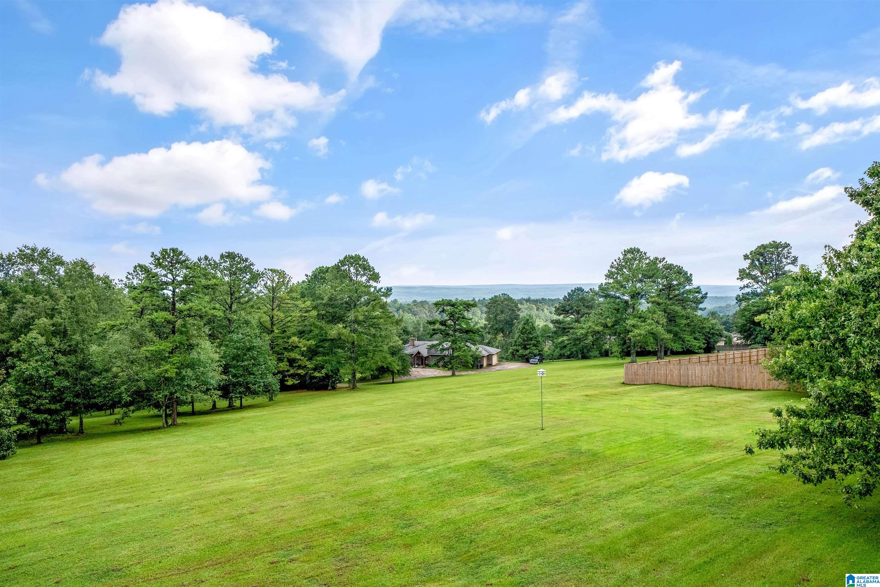 5029 South Shades Crest Road Helena, AL 35022 - Photo 8 of 48