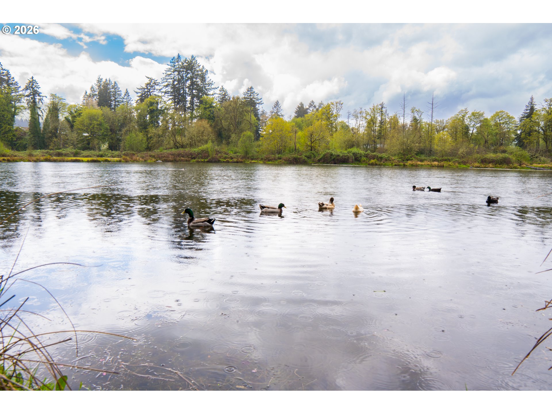433 North 14th Street Lyons, OR 97358 - Photo 29 of 34