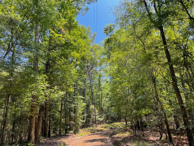 $700,000 | 3 New Haven Road, Hemphill, TX 75948